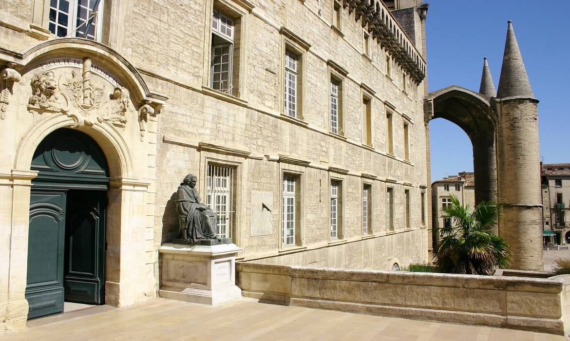 VISITE EN ANGLAIS DE MONTPELLIER : "FACULTY OF MEDICINE"