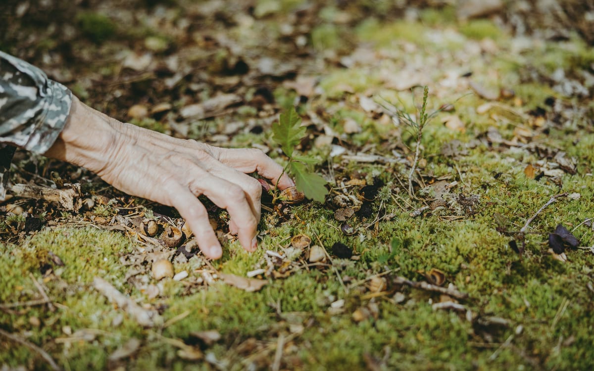 Promenade Poétique | Agathe Charnet et Lillah Vial | Habiter la forêt